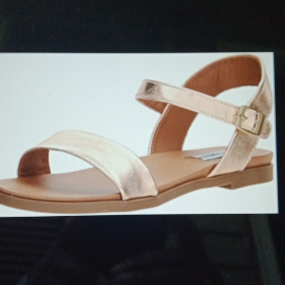 Steve Madden Shoes - Steve Madden Women's Dina Flat Sandal